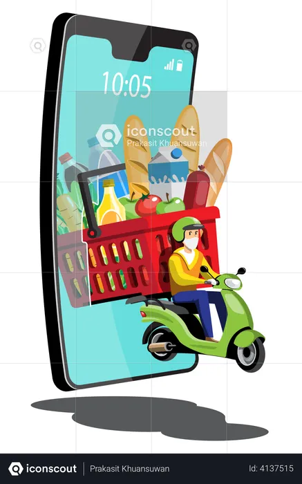 Online Grocery Delivery  Illustration