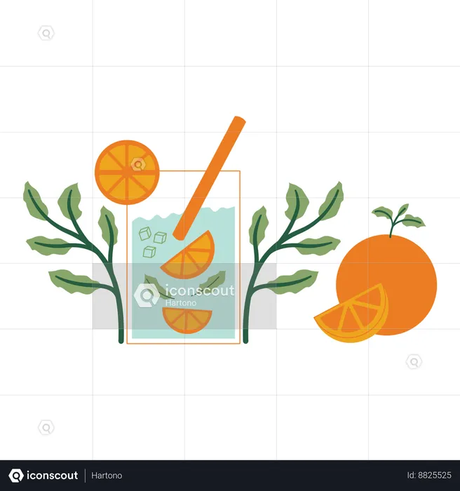 Orange mint with leaves and fruits  Illustration