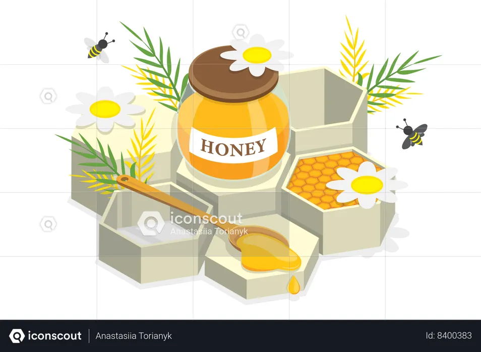 Organic Honey  Illustration