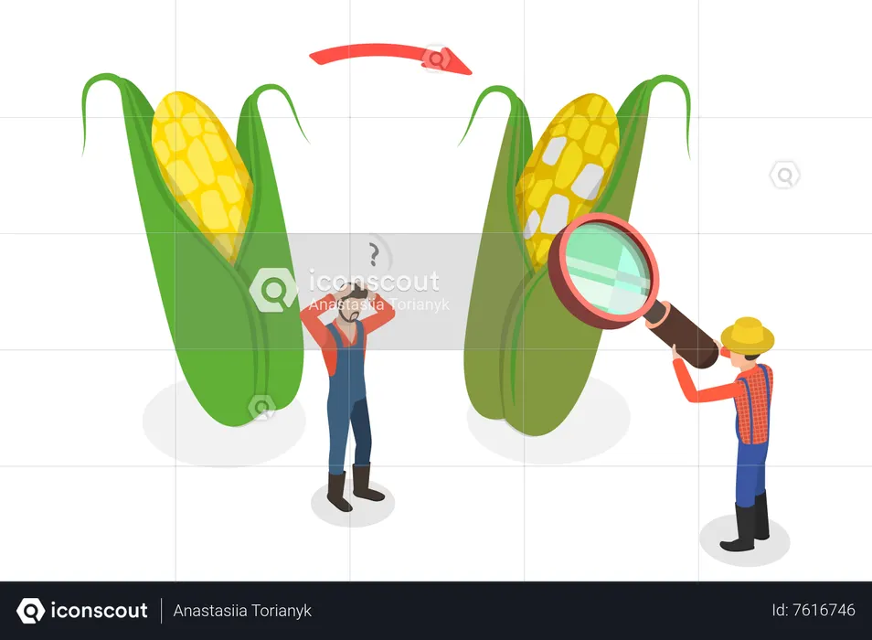 Overripe Harvest  Illustration