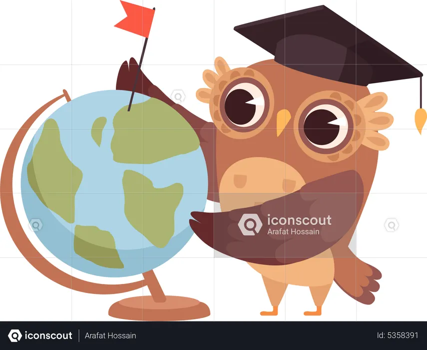 Owl learning geography  Illustration