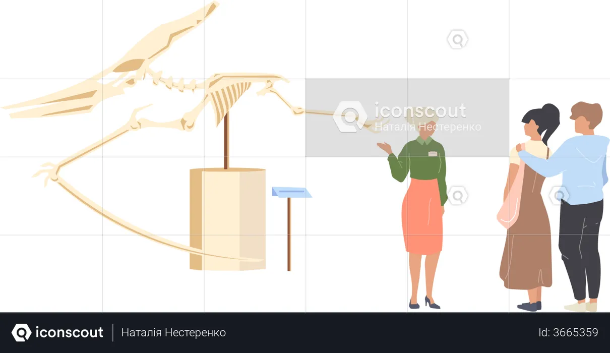Paleontology museum tourist  Illustration