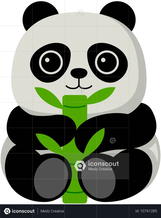 Panda  Illustration