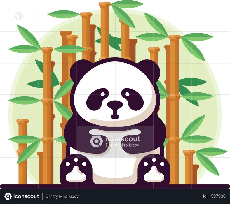 Panda  Illustration