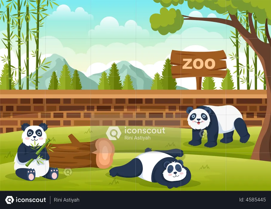 Panda no zoológico  Ilustração