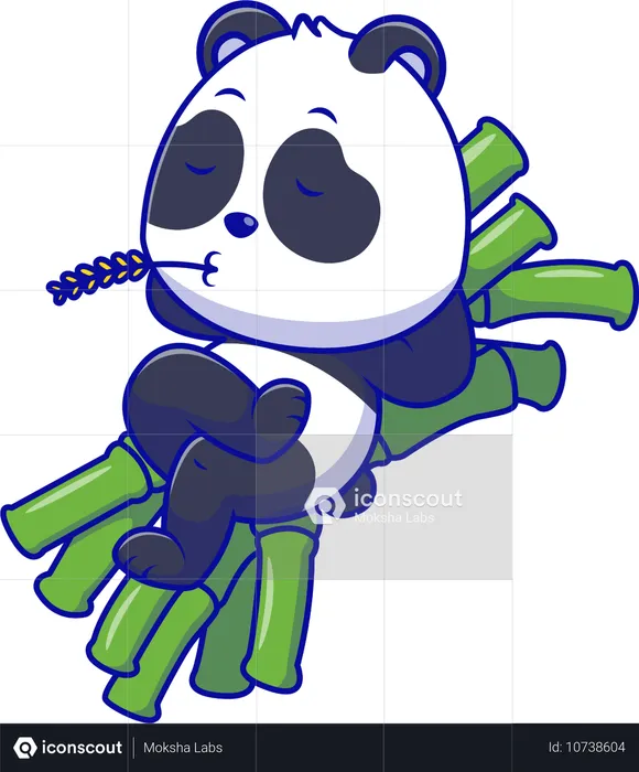 Panda Relaxing On Bamboos  Illustration