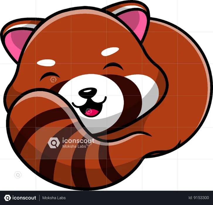 Panda vermelho deitado  Ilustração