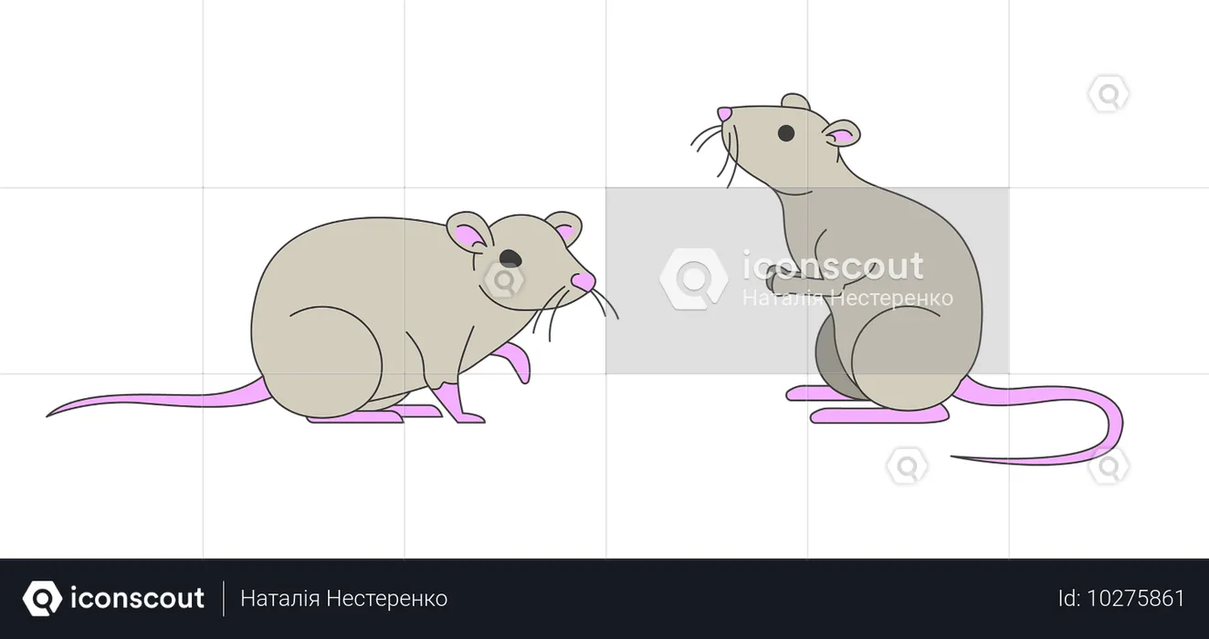 Pareja de lindas ratas domesticadas  Ilustración