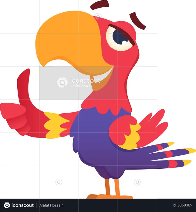 Parrot showing thumbs up  Illustration