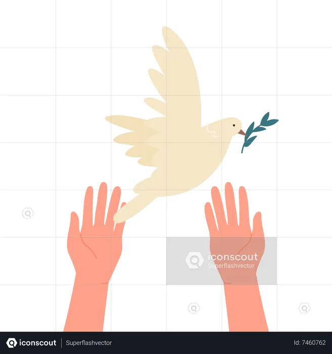 Peace Bird  Illustration