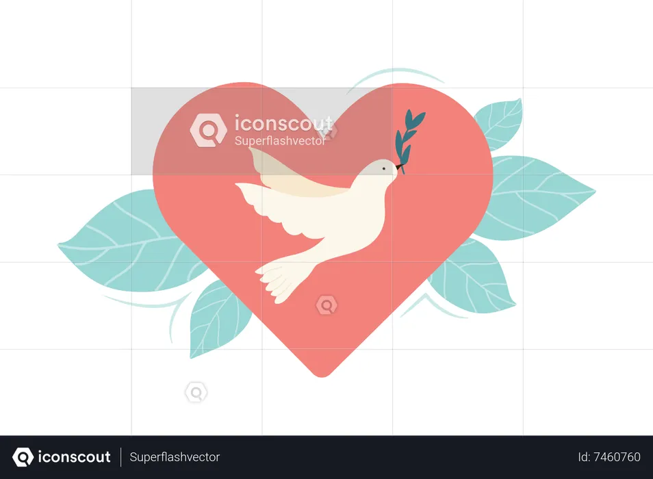 Peace Dove  Illustration