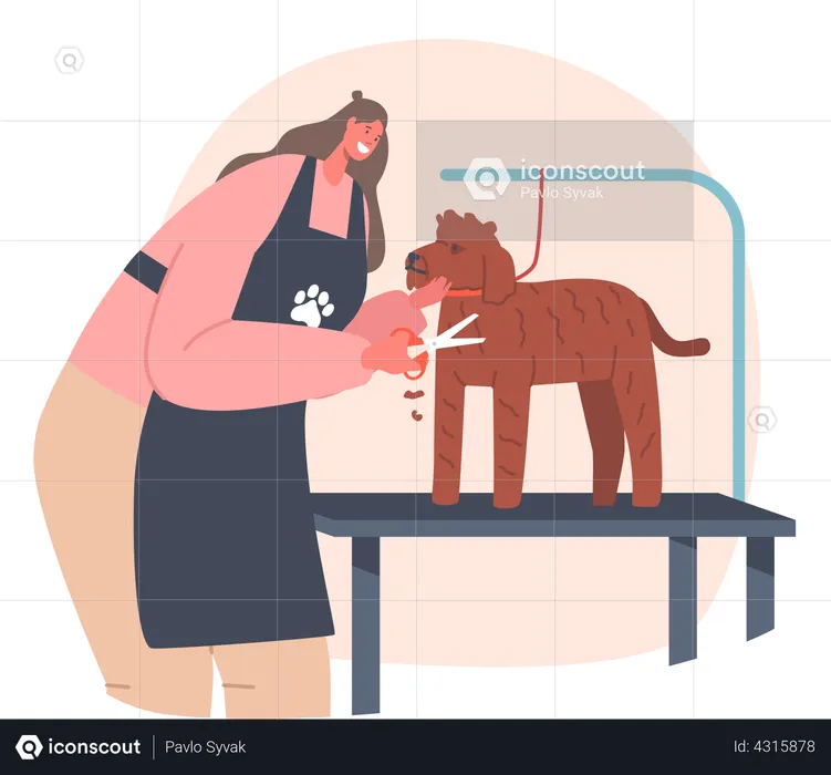 Peluquería cortando pelos de perro  Ilustración