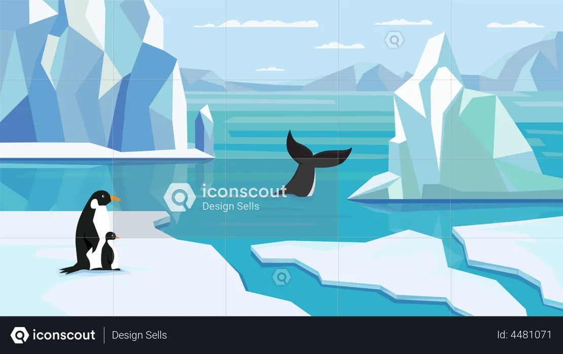 Penguin At Antarctica  Illustration