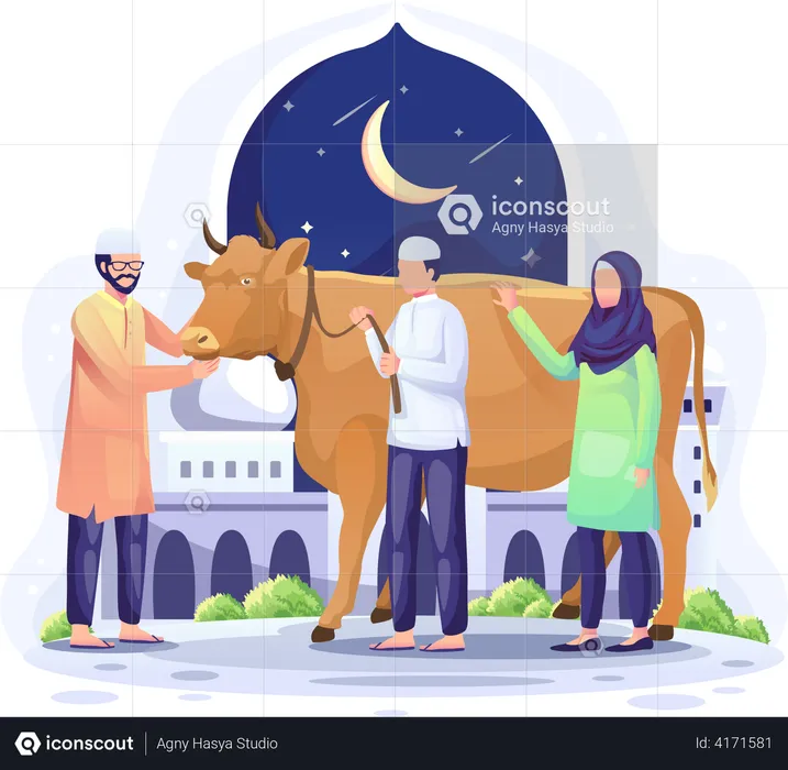 People donate a cow to be sacrificed on Eid al Adha Mubarak  Illustration