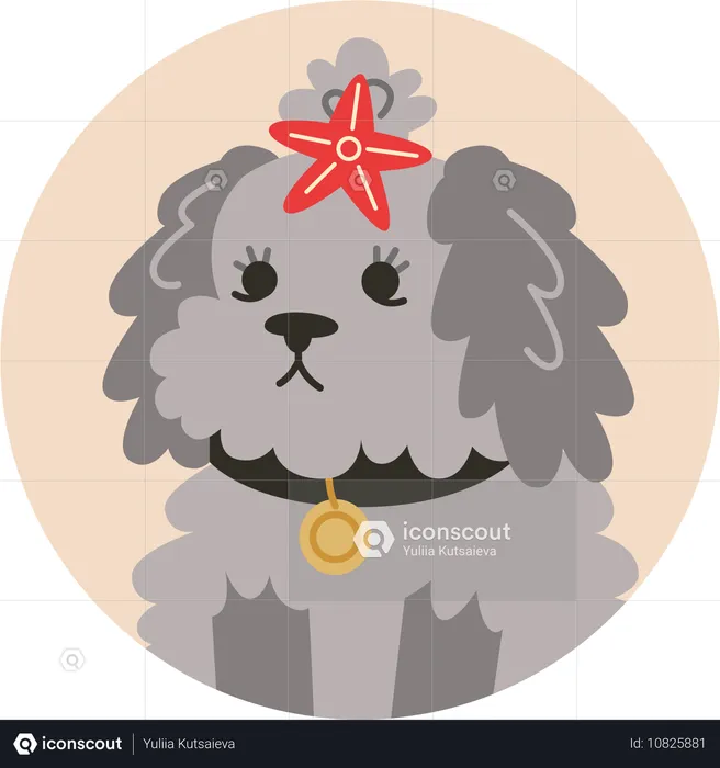 Adorno navideño con forma de estrella para perro pequeño  Ilustración