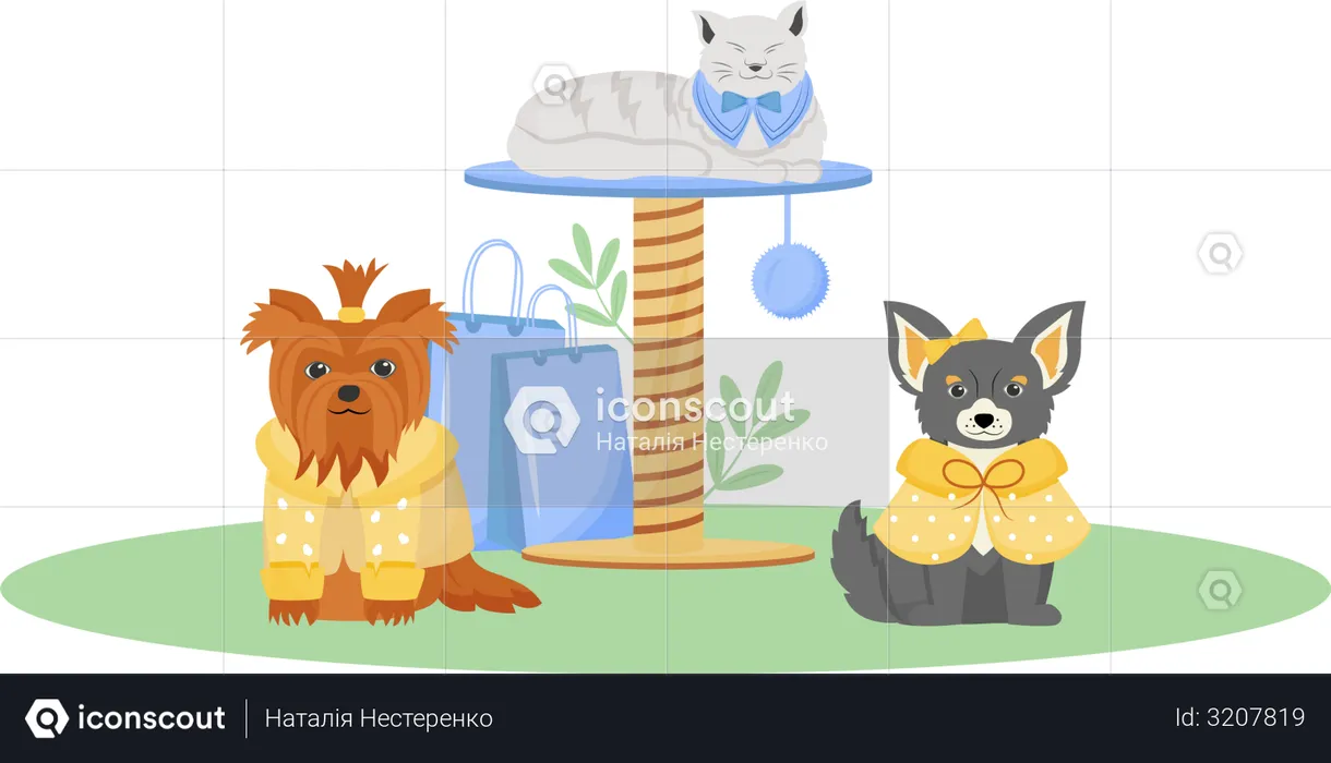 Pet fashion  Illustration