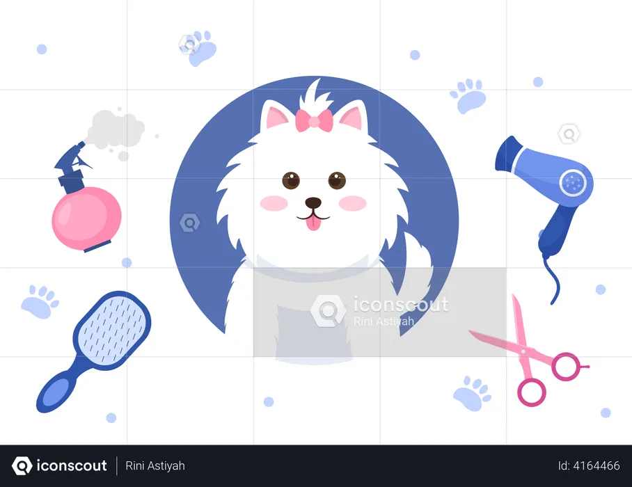 Pet Grooming for Cats  Illustration