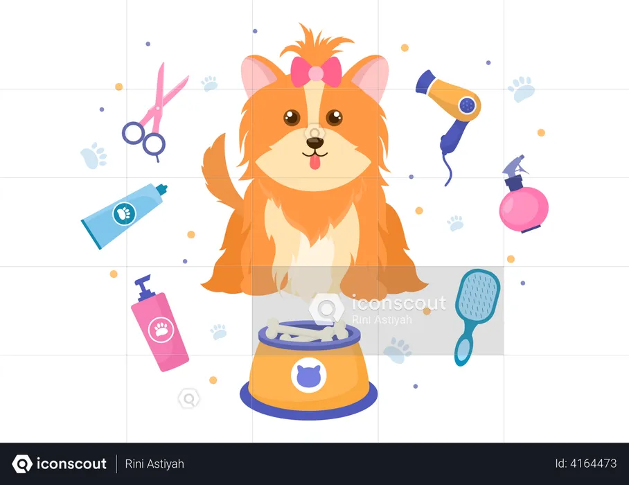 Pet Grooming  Illustration