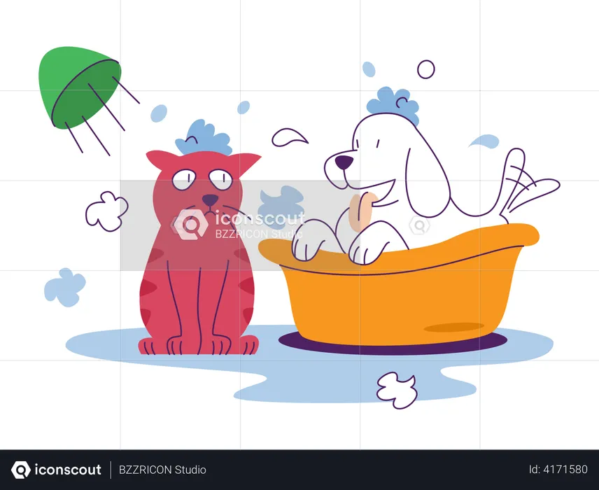 Pets Bath  Illustration