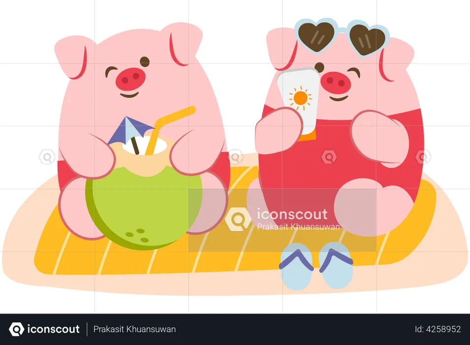Pig couple have vacation on the beach  Illustration