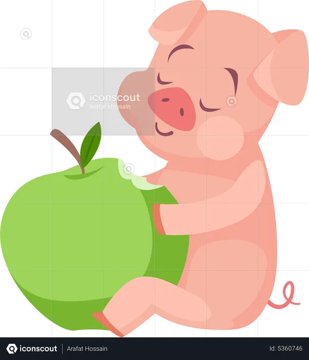 Pig eating apple  Illustration