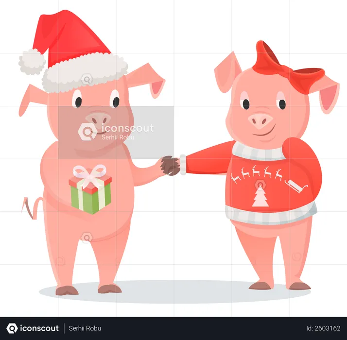 Pig girlfriend and boyfriend in Santa hat and bow exchange presents  Illustration