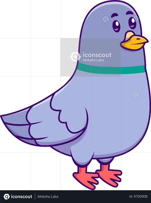 Pigeon Bird  Illustration
