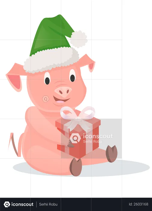 Piglet with gift box sitting on snow  Illustration