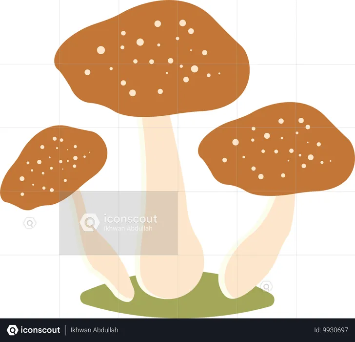 Pilz-Polka  Illustration