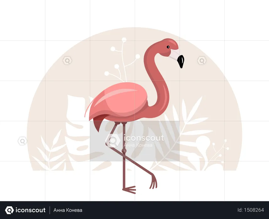 Pink flamingo with tropical leaves on a white background  Illustration