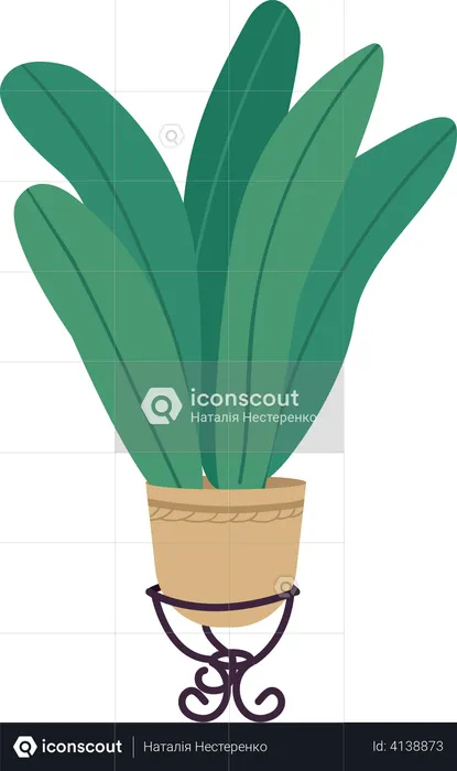 Plant in pot  Illustration