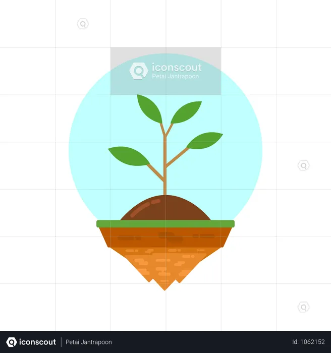 Plant On Island  Illustration