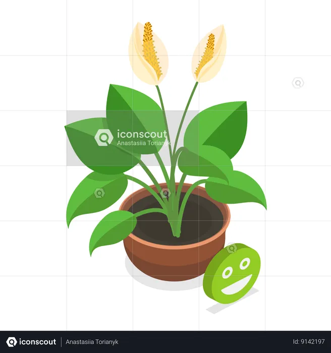 Planta morrendo  Ilustração