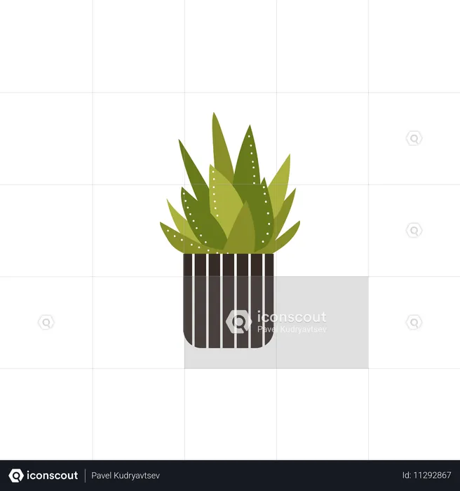 Plante d'aloès verte dans un pot rayé  Illustration