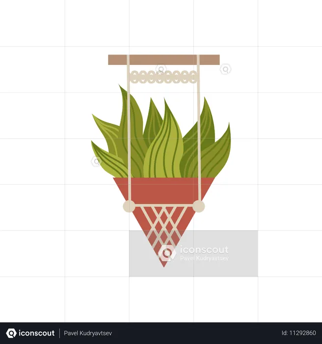 Plante d'aloe vera dans un pot de fleurs décoré d'un motif macramé  Illustration