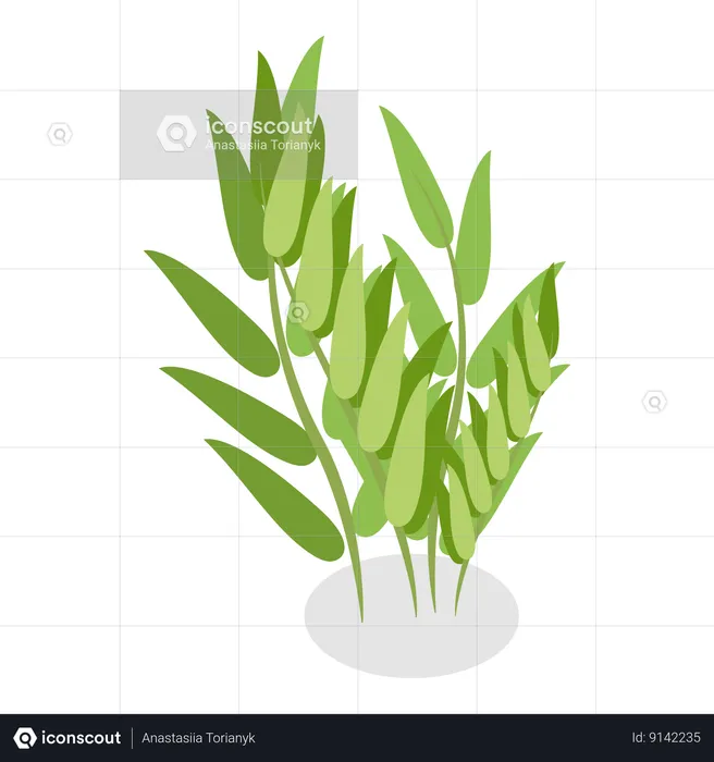 Plants In Pots  Illustration
