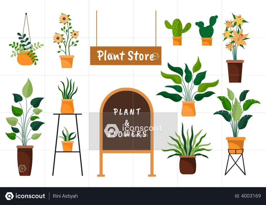 Plants Store  Illustration