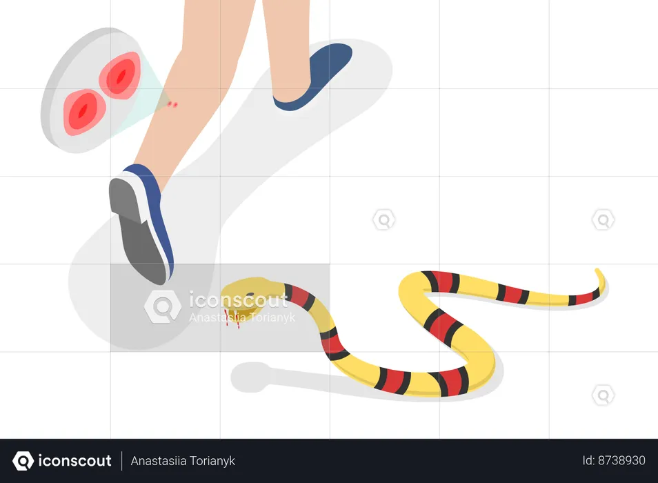 Poisonous Snake Bit  Illustration