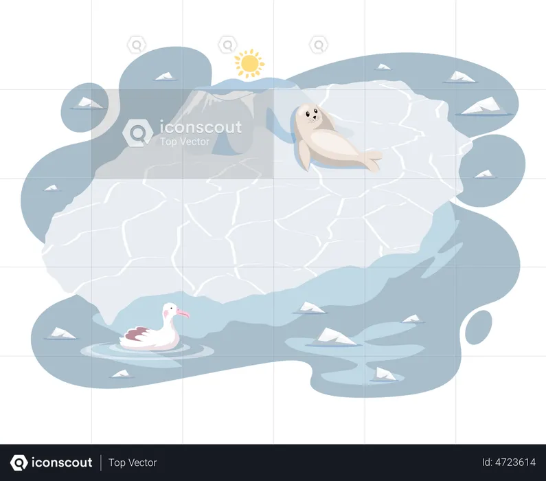 Polar animal enjoying high temperature  Illustration