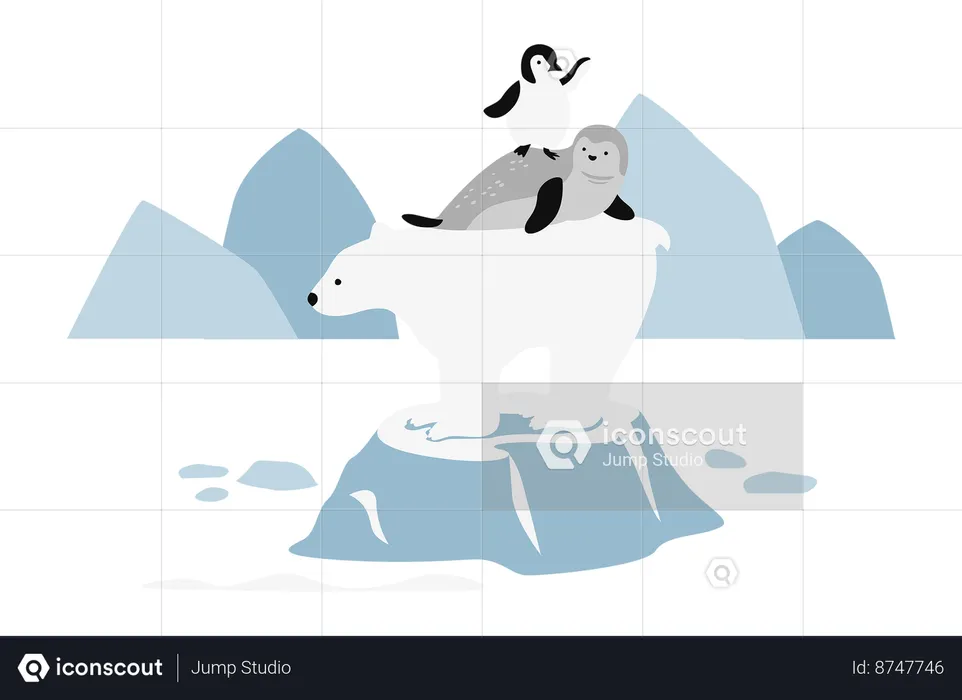 Polar Bear, Seal and Penguin On Melted Iceberg  Illustration
