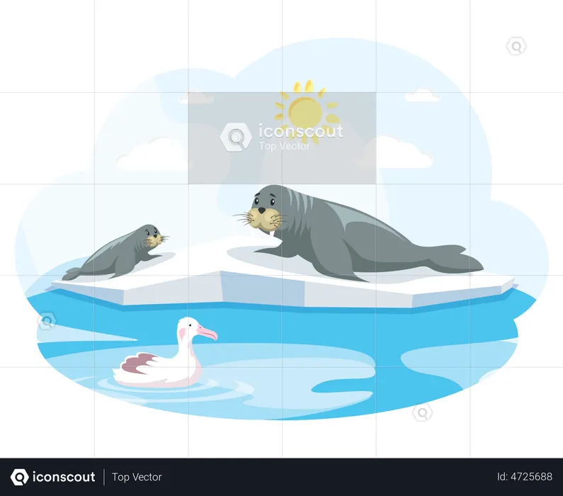 Polar region mammals suffering from rising heat  Illustration