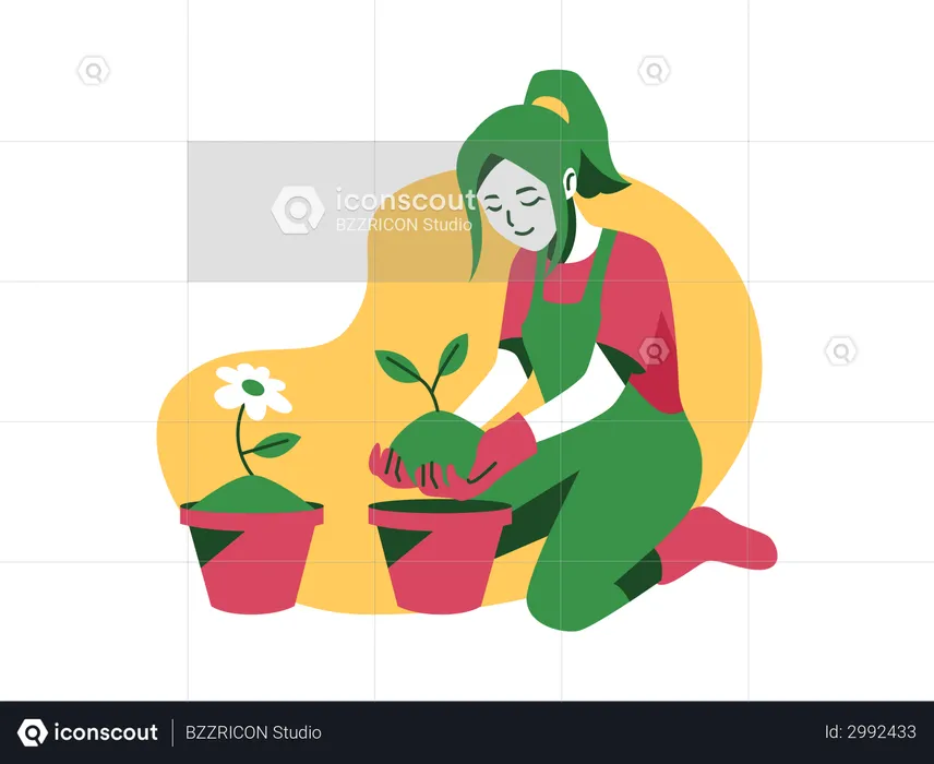 Potting plants  Illustration