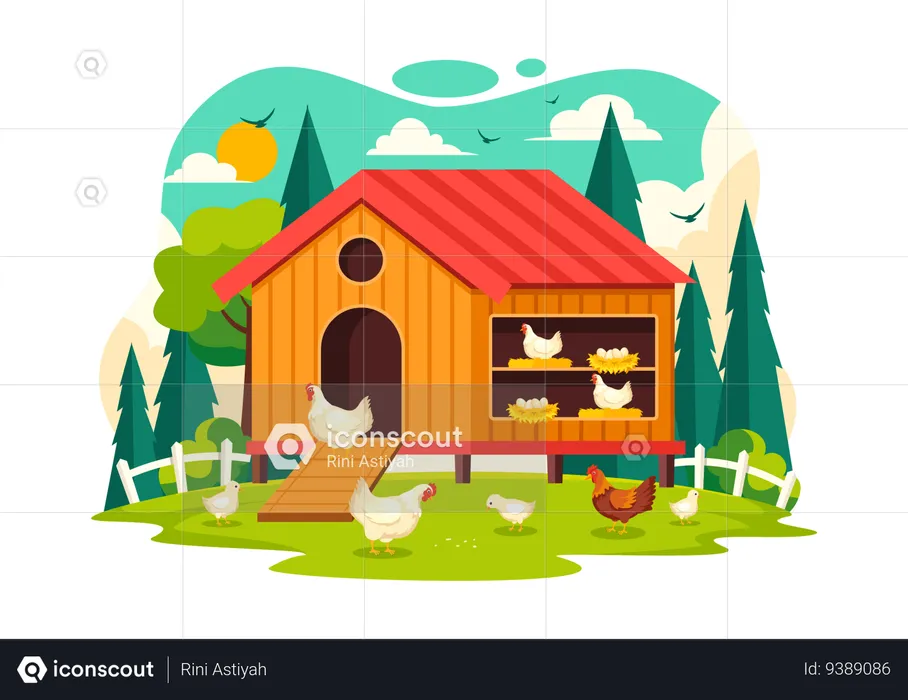 Poultry Farm  Illustration