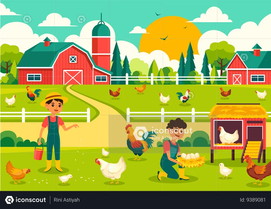 Poultry Farm  Illustration