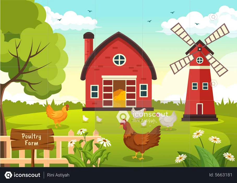 Poultry Farm  Illustration