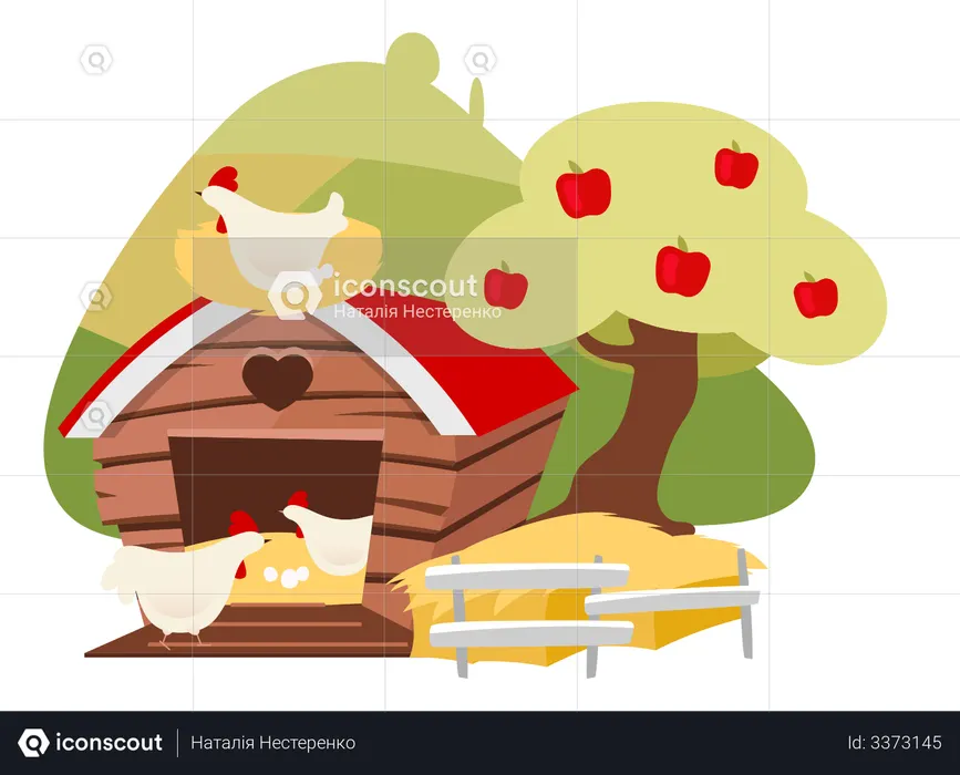Poultry farming  Illustration