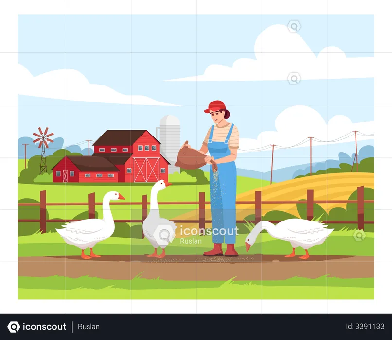 Poultry pasture on farmland  Illustration