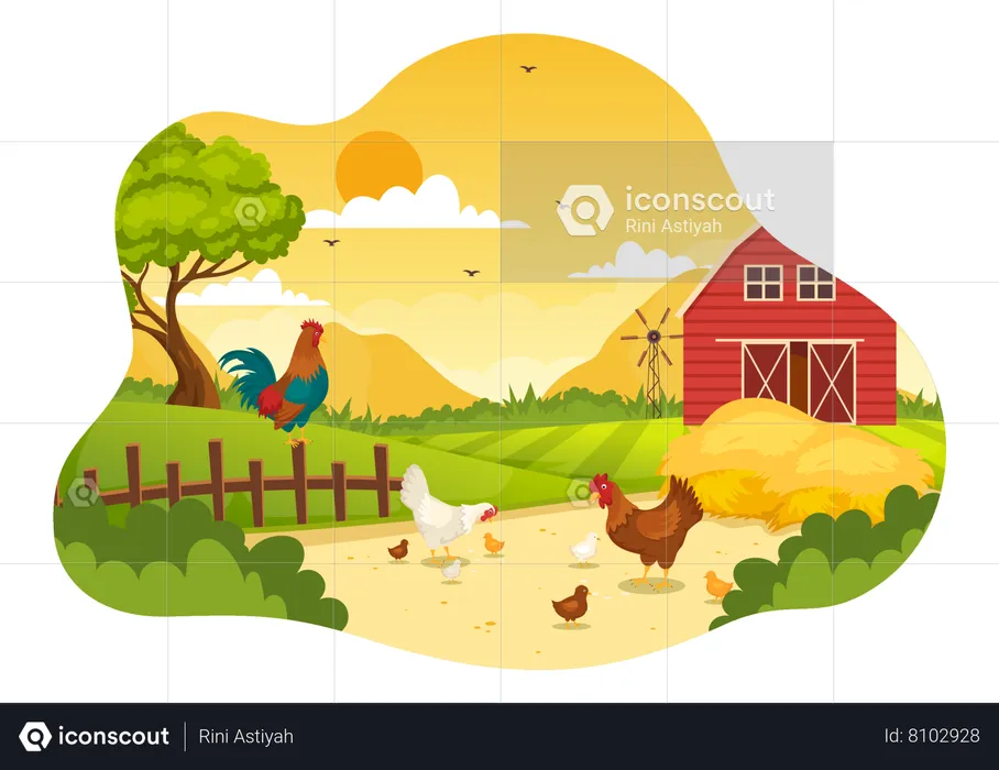 Poultry Welfare  Illustration