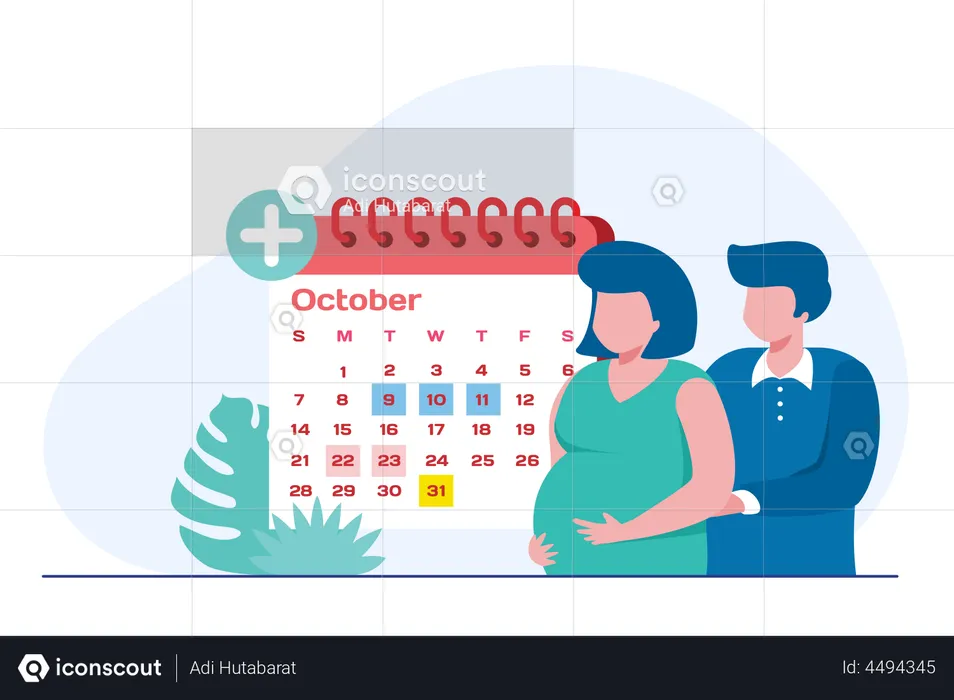 Pregnancy checkup routine  Illustration