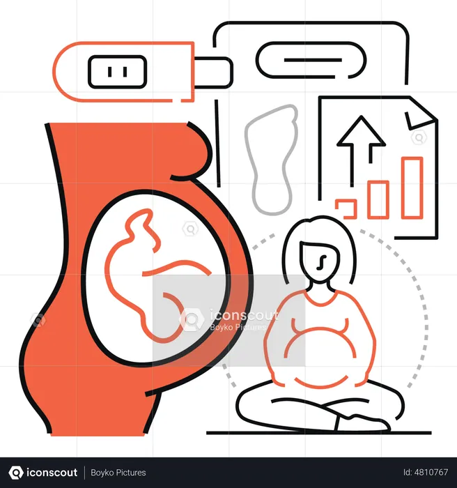Pregnant Woman  Illustration